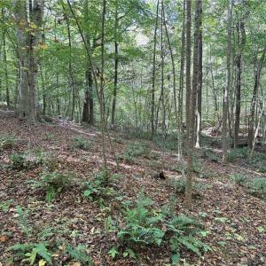 Photo #17 of 457 Zeb Ferguson, Siler City, NC 5.5 acres