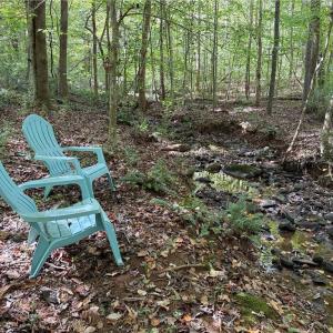 Photo #16 of 457 Zeb Ferguson, Siler City, NC 5.5 acres