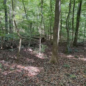 Photo #12 of 457 Zeb Ferguson, Siler City, NC 5.5 acres