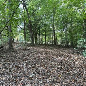 Photo #28 of 457 Zeb Ferguson, Siler City, NC 5.5 acres