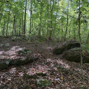 Photo #9 of 457 Zeb Ferguson, Siler City, NC 5.5 acres