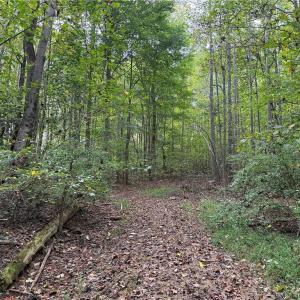 Photo #24 of 457 Zeb Ferguson, Siler City, NC 5.5 acres