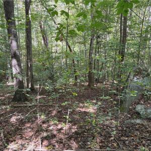 Photo #18 of 457 Zeb Ferguson, Siler City, NC 5.5 acres