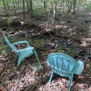 Photo #15 of 457 Zeb Ferguson, Siler City, NC 5.5 acres