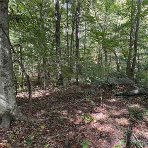 Photo #19 of 457 Zeb Ferguson, Siler City, NC 5.5 acres