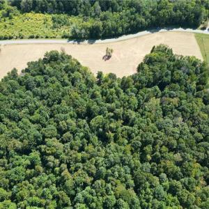 Photo #4 of 457 Zeb Ferguson, Siler City, NC 5.5 acres