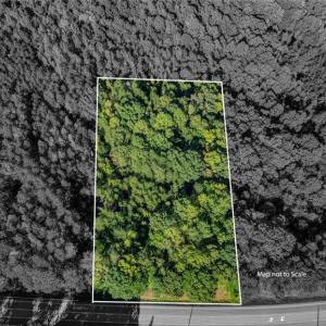 Photo #9 of NC Highway 86, Yanceyville, NC 7.0 acres