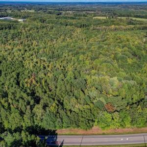 Photo #8 of NC Highway 86, Yanceyville, NC 7.0 acres