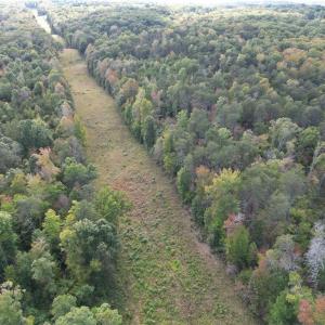 Photo #23 of Almond, Reidsville, NC 30.4 acres