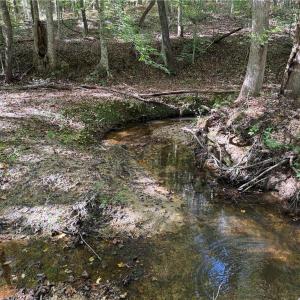 Photo #2 of Almond, Reidsville, NC 30.4 acres