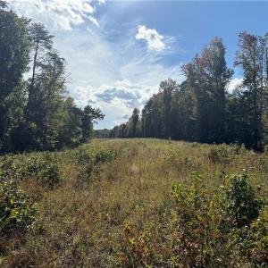 Photo #13 of Almond, Reidsville, NC 30.4 acres