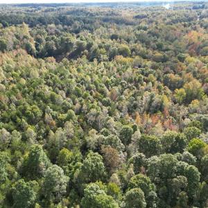 Photo #16 of Almond, Reidsville, NC 30.4 acres