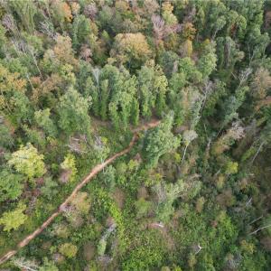 Photo #26 of Almond, Reidsville, NC 30.4 acres