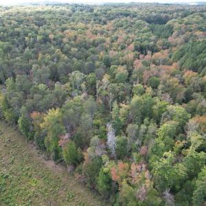 Photo #22 of Almond, Reidsville, NC 30.4 acres