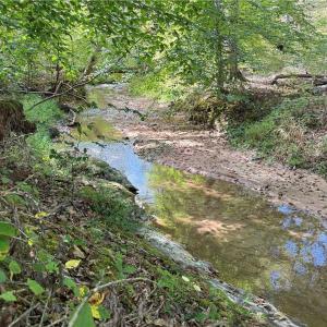 Photo #7 of Almond, Reidsville, NC 30.4 acres