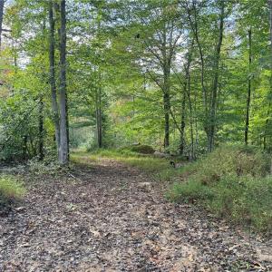 Photo #3 of Almond, Reidsville, NC 30.4 acres