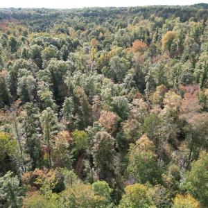 Photo #14 of Almond, Reidsville, NC 30.4 acres