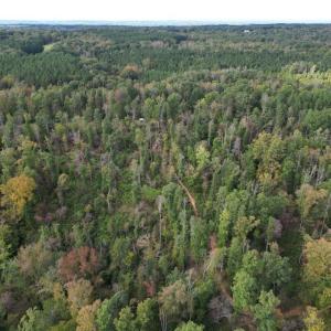 Photo #18 of Almond, Reidsville, NC 30.4 acres