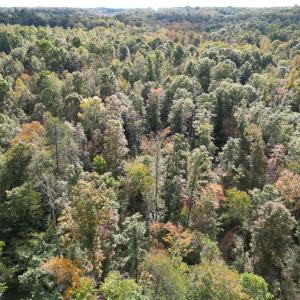 Photo #15 of Almond, Reidsville, NC 30.4 acres