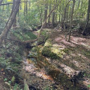 Photo #11 of Almond, Reidsville, NC 30.4 acres