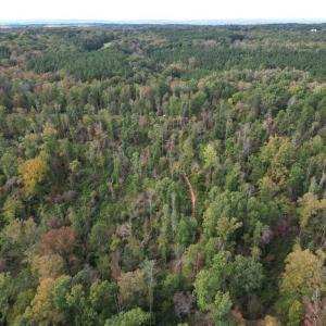 Photo #19 of Almond, Reidsville, NC 30.4 acres