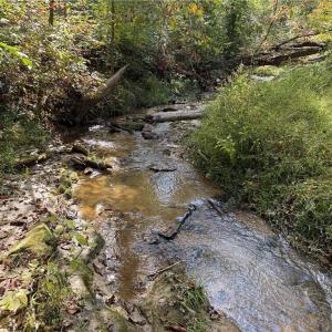 Photo #8 of Almond, Reidsville, NC 30.4 acres