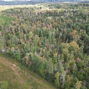 Photo #25 of Almond, Reidsville, NC 30.4 acres