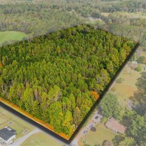 Photo #1 of Wagoner, Graham, NC 20.0 acres