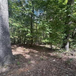 Photo #12 of 8410 Linville, Oak Ridge, NC 7.8 acres