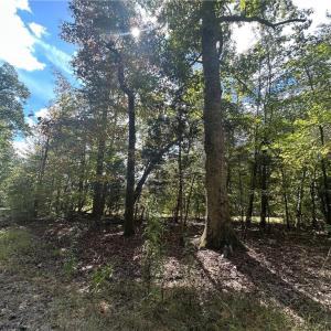 Photo #10 of 8410 Linville, Oak Ridge, NC 7.8 acres