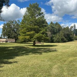 Photo #5 of 8410 Linville, Oak Ridge, NC 7.8 acres