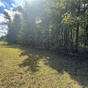 Photo #20 of 8410 Linville, Oak Ridge, NC 7.8 acres