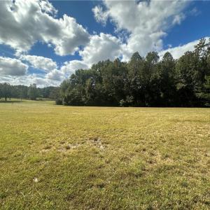 Photo #9 of 8410 Linville, Oak Ridge, NC 7.8 acres