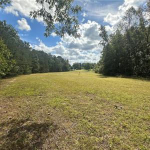 Photo #19 of 8410 Linville, Oak Ridge, NC 7.8 acres