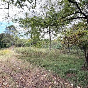 Photo #6 of Friendship, Germanton, NC 4.7 acres