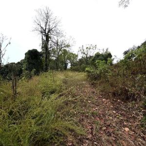 Photo #8 of Friendship, Germanton, NC 4.7 acres