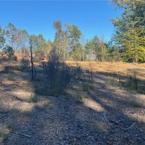 Photo #9 of 6455 Reubens Ridge, Winston-Salem, NC 5.5 acres