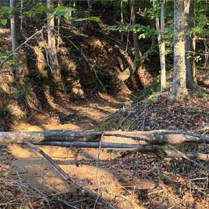 Photo #10 of 6455 Reubens Ridge, Winston-Salem, NC 5.5 acres