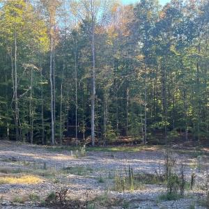 Photo #8 of 6455 Reubens Ridge, Winston-Salem, NC 5.5 acres