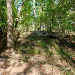 Photo #27 of 1751 Flat Rock, Pinnacle, NC 40.7 acres