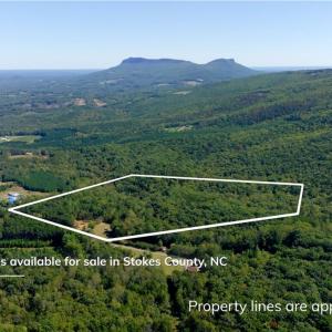 Photo #2 of 1751 Flat Rock, Pinnacle, NC 40.7 acres