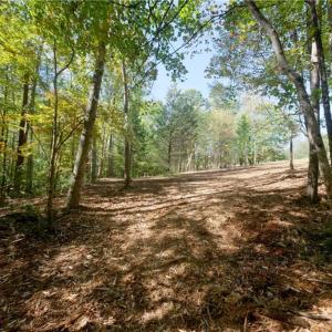 Photo #42 of 1751 Flat Rock, Pinnacle, NC 40.7 acres