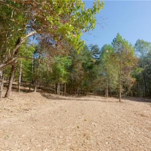 Photo #13 of 1751 Flat Rock, Pinnacle, NC 40.7 acres