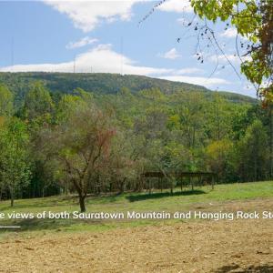 Photo #17 of 1751 Flat Rock, Pinnacle, NC 40.7 acres