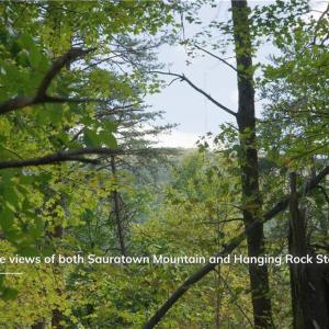 Photo #16 of 1751 Flat Rock, Pinnacle, NC 40.7 acres