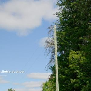 Photo #22 of 1751 Flat Rock, Pinnacle, NC 40.7 acres