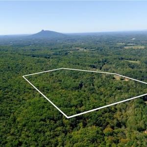 Photo #3 of 1751 Flat Rock, Pinnacle, NC 40.7 acres