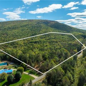 Photo #1 of 1751 Flat Rock, Pinnacle, NC 40.7 acres