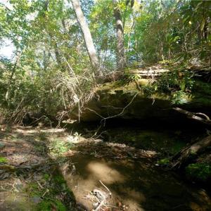 Photo #28 of 1751 Flat Rock, Pinnacle, NC 40.7 acres