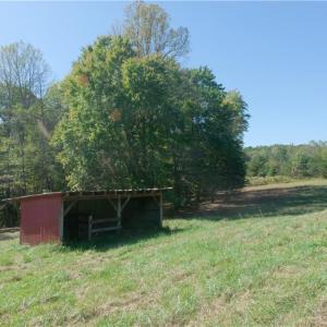 Photo #20 of 1751 Flat Rock, Pinnacle, NC 40.7 acres